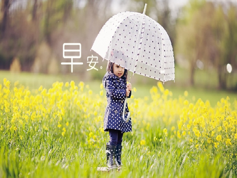 试管医院费用不错北京家圆i（移植试管胎停）